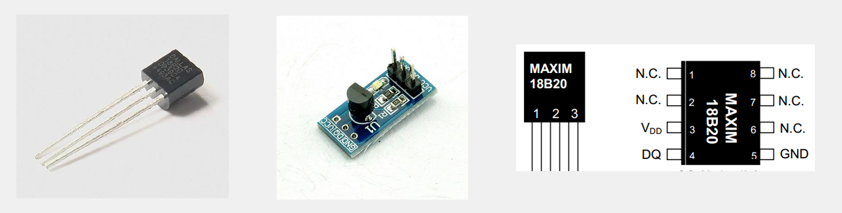 DS18B20